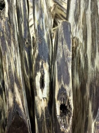 Kenan Wooden strips02 - Image 3