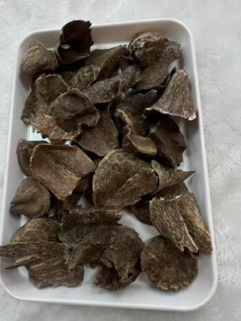 Agarwood Bark - Image 4