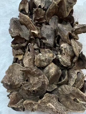 Agarwood Bark - Image 3